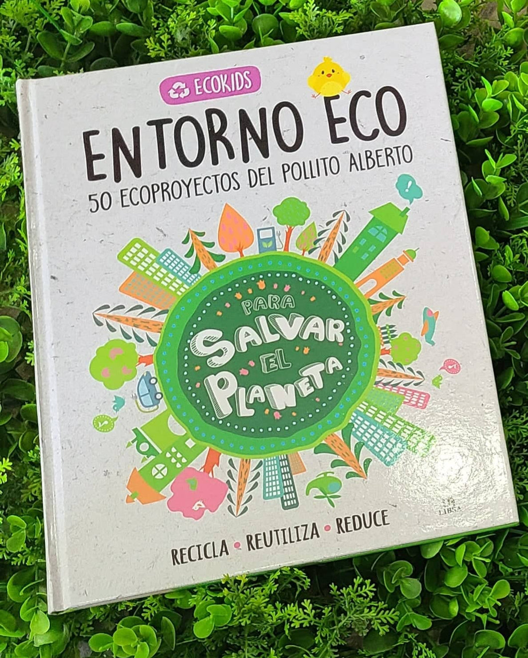 Entorno Eco 50 Ecoproyectos del pollito Alberto